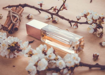 6 perfum zainspirowanych bogactwem