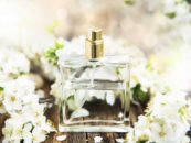 Jakie perfumy kwiatowe do Ciebie pasują? Poznaj najbardziej romantycznej zapachy.